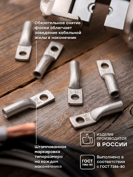 Наконечник медный луженый ТМЛ 10-6-5 EKF PROxima