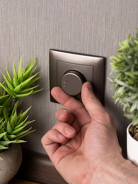 Валенсия лицевая панель светорегулятора 600W 220В графит EKF